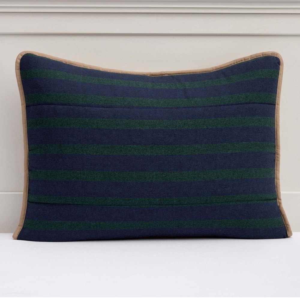 Pottery Barn Teen Stripe Camden Standard Sham in Green Multi